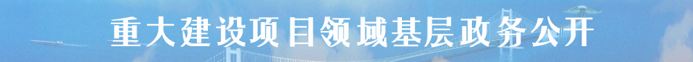 重大建设项目领域基层政务公开